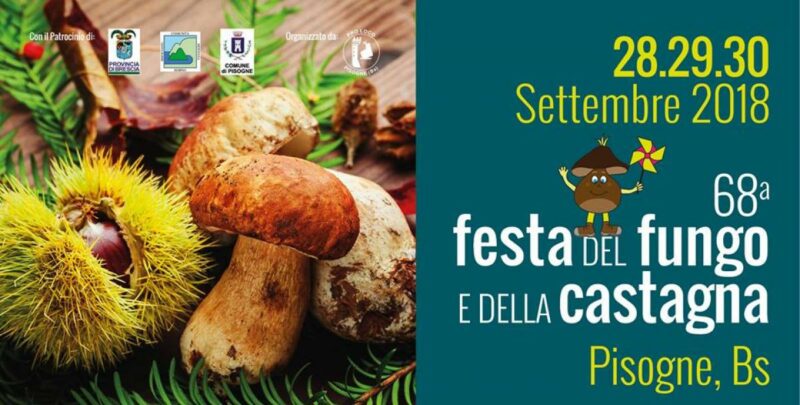 festa fungo e castagna