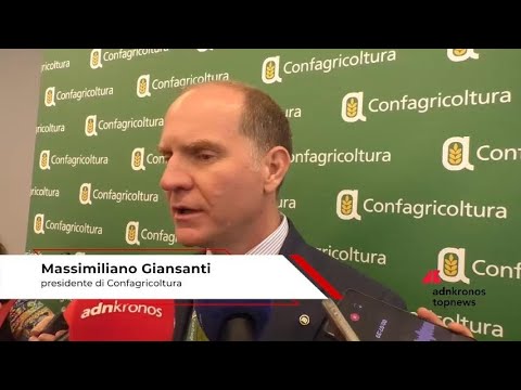 Agricoltura Giansanti Confagri ‘ulteriori dazi sarebbero insopportabili Agricoltura Giansanti Confagri ‘ulteriori dazi sarebbero insopportabili