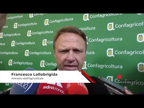 Agricoltura Lollobrigida ‘no a Fondo unico Ue al lavoro per evitarlo Agricoltura Lollobrigida ‘no a Fondo unico Ue al lavoro per evitarlo