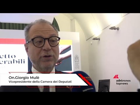 Vulnerabili a Palermo Mule Sono soggetti che vanno protetti