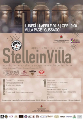 Locandina Stelle in villa Locandina Stelle in villa