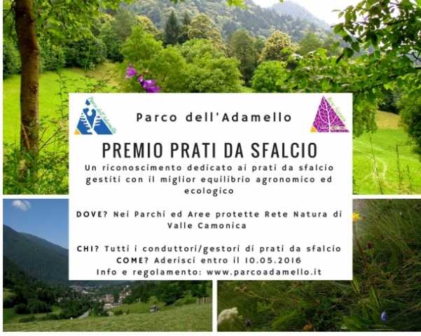 Locandina premio sfalcio page 001 mid