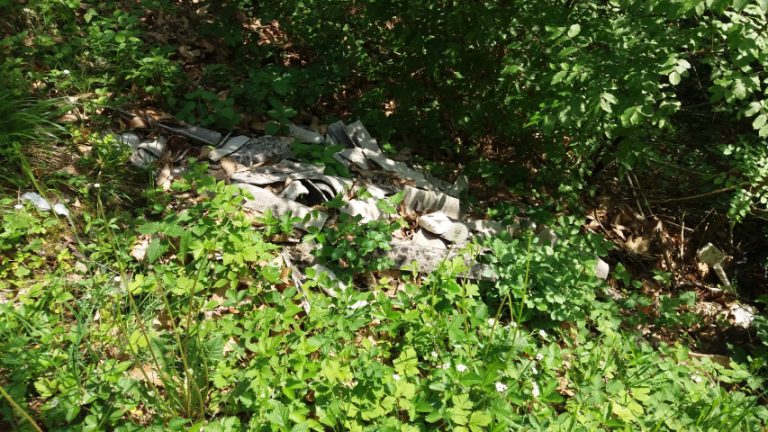 amianto bosco pisogne 6 Il bosco come discarica per l’amianto
