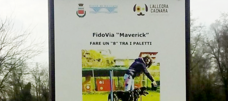 fidovia maverick seriate 740x330 Seriate: palestra per cani al parco