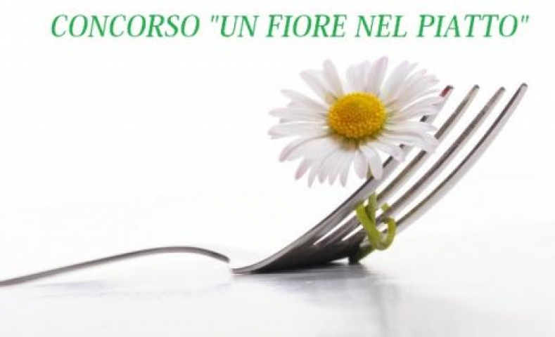 fiore nel piatto fiore nel piatto