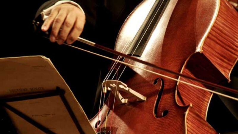 immagine violoncello immagine violoncello