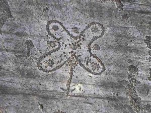 incisioni rupestri valcamonica