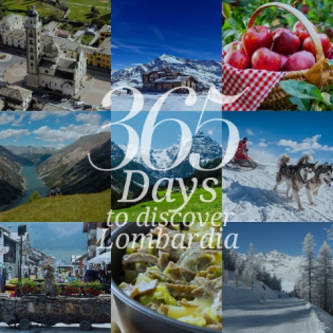 365 in lombardai