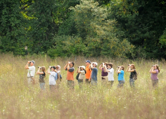 BioBlitz.MiddleRun.8.26.12.derekstoner 569