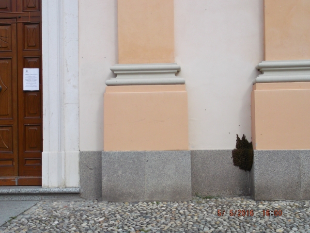 DSCF1641