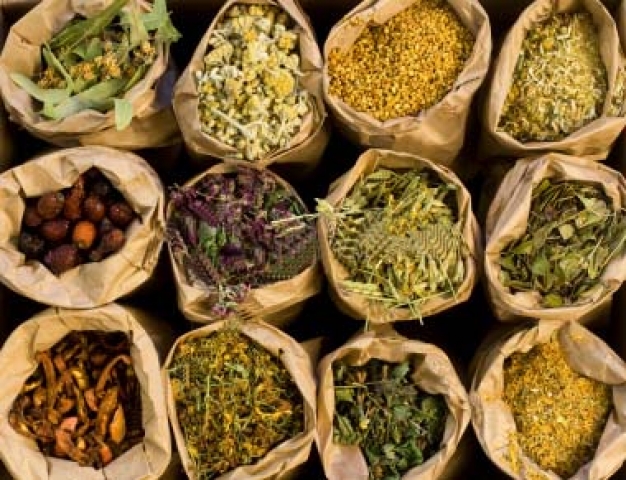 Erbe medicinali Erbe medicinali