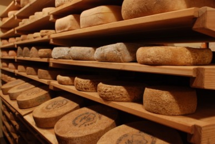cantina formaggi