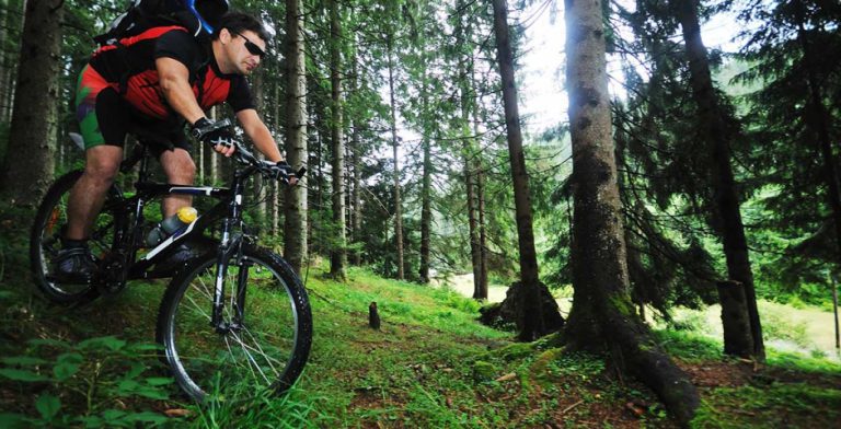 mountain bike uomo bosco 02 Domenica 8 maggio 17° Cavalcavallina