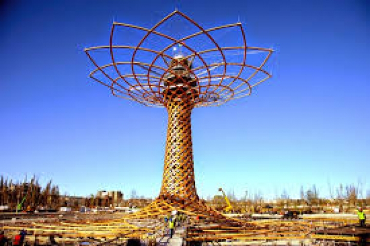 Albero della vita Albero della vita