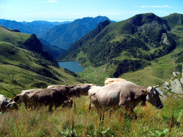 laghi gemelli