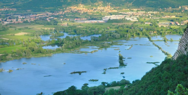 Le torbiere Torbiere del Sebino: Soncini nuovo Presidente
