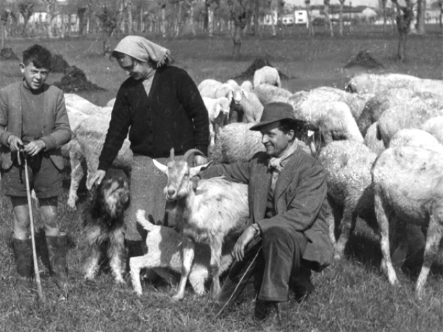 famiglia pastori famiglia pastori