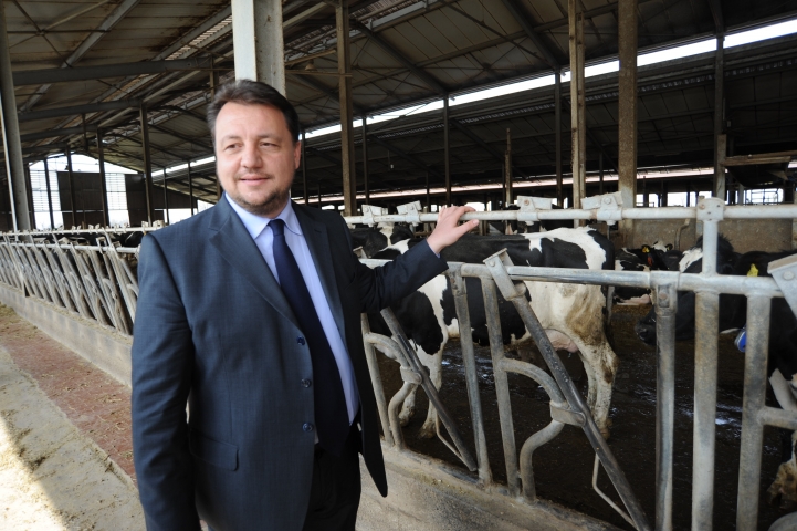 fava 18 fava 18