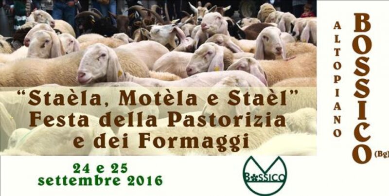 formaggi 2016 manifesto promo formaggi 2016 manifesto promo