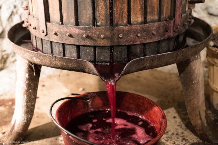 rassegna vino