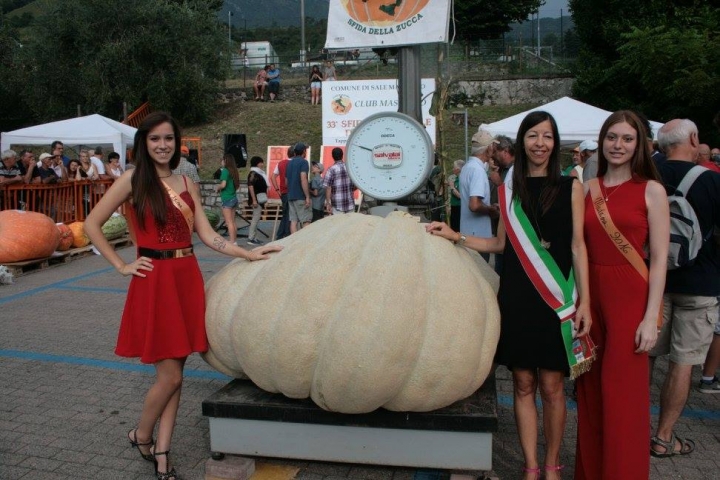 zucca gigante sale marasino zucca gigante sale marasino