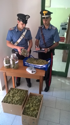 Carabinieri MArijuana Carabinieri MArijuana