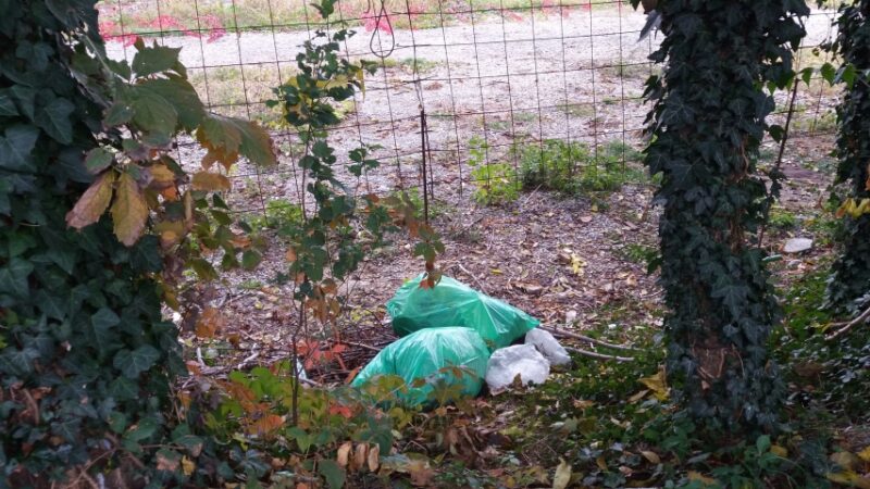 discarica sarnico discarica sarnico