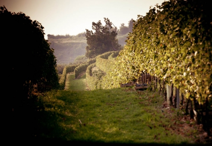 01 I tesori nascosti del vino italiano 01 I tesori nascosti del vino italiano