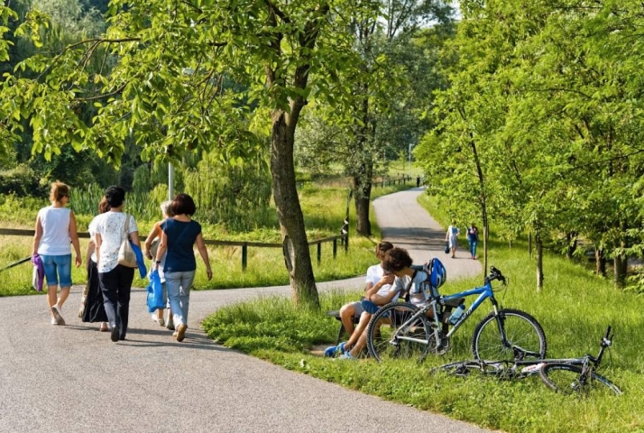 PARCO DEI COLLI PARCO DEI COLLI