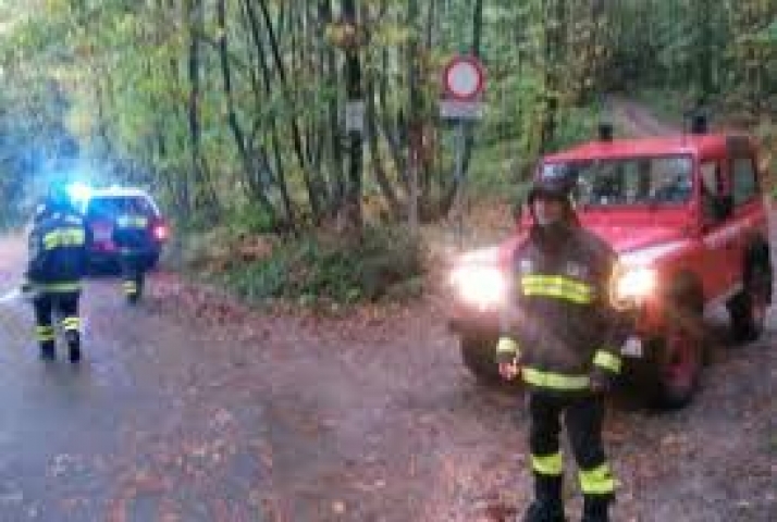 VVFF boschi