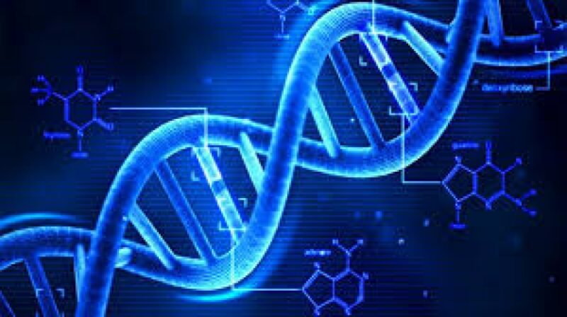 dna dna