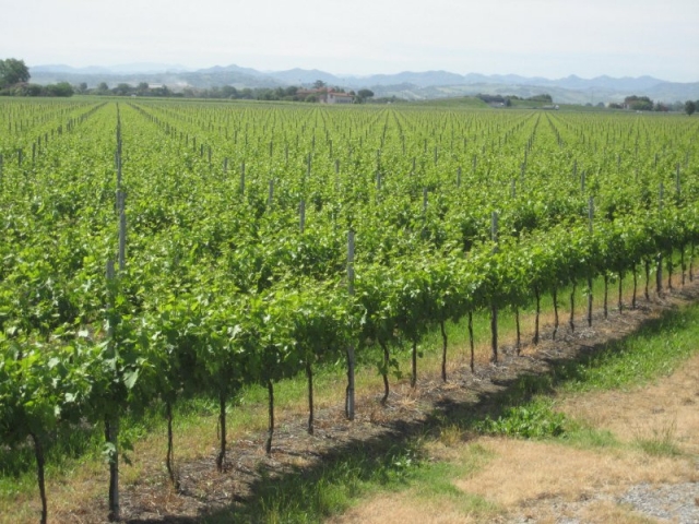 img aziendaagricola1 img aziendaagricola1