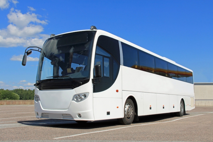 bus turistici