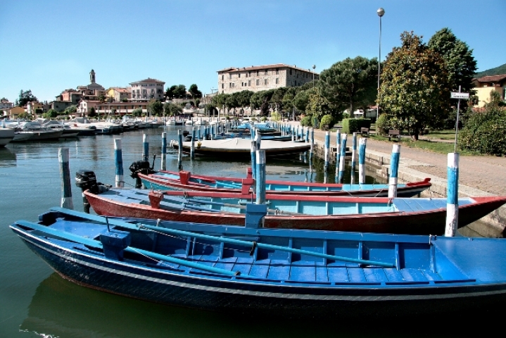 clusane diseo clusane diseo