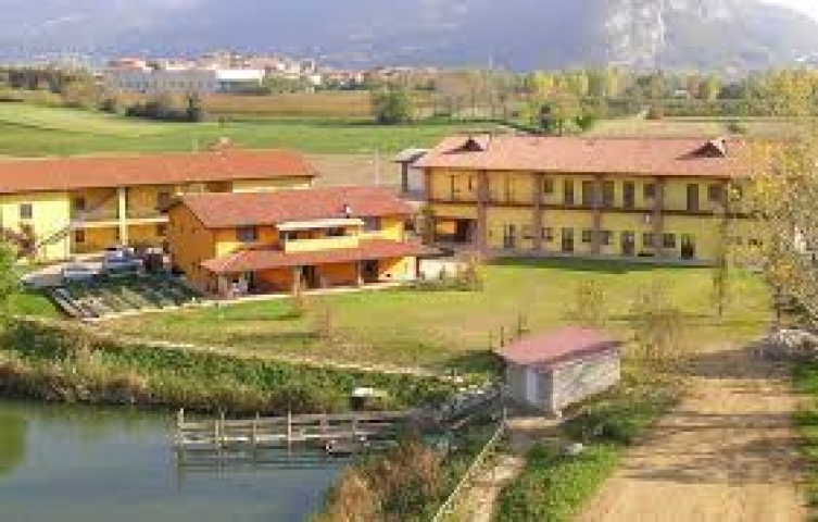 CAscina Clarabella
