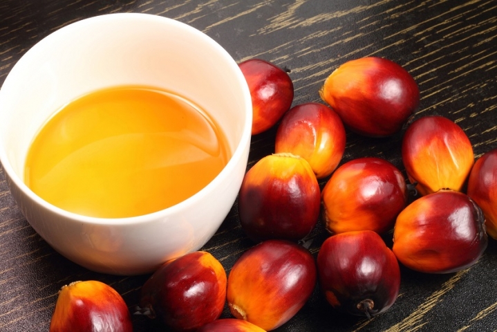 olio di palma olio di palma