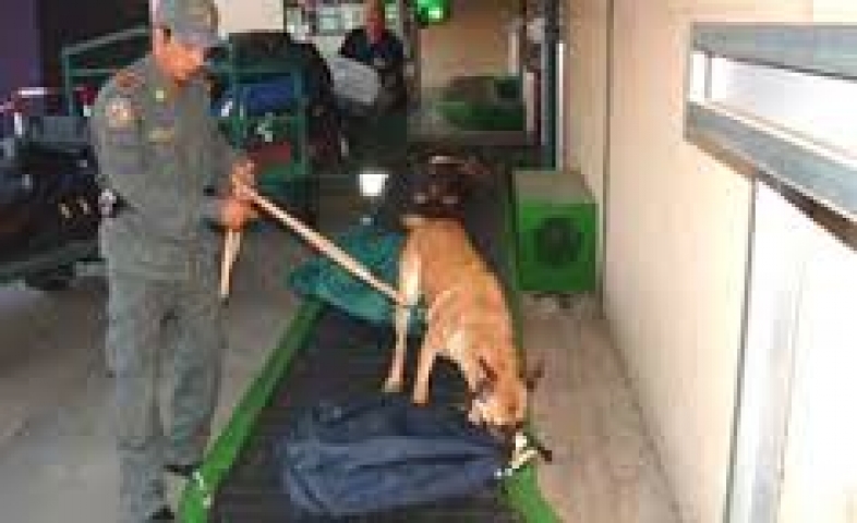Cani antidroga 2 Cani antidroga 2