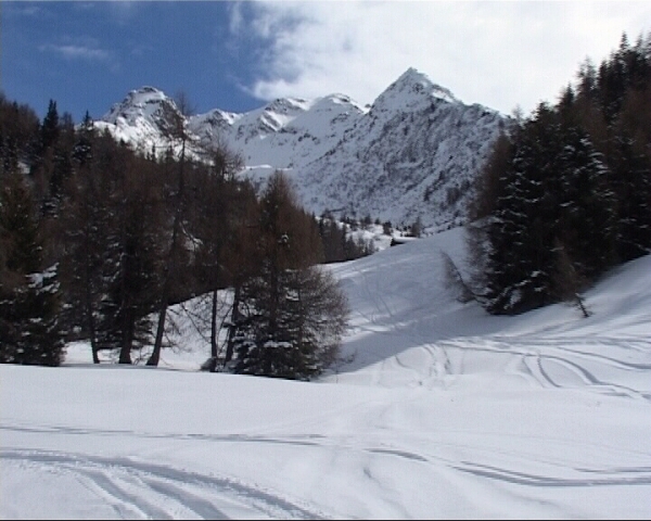 Neve Ponte