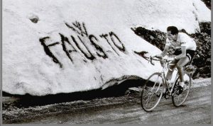wfausto articolo1