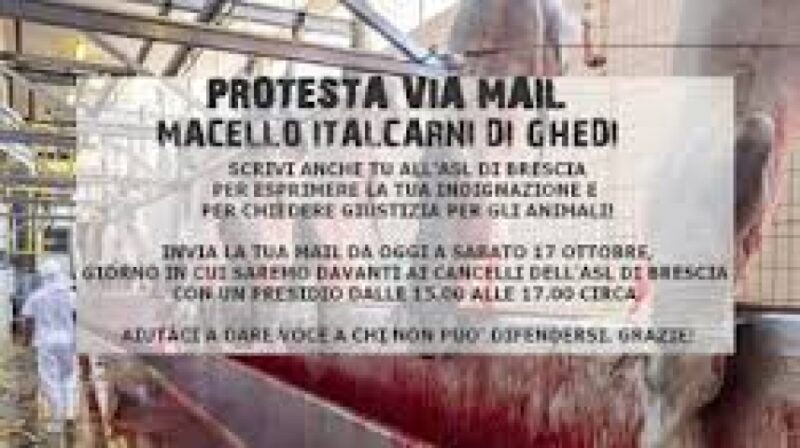 Italcarni Italcarni