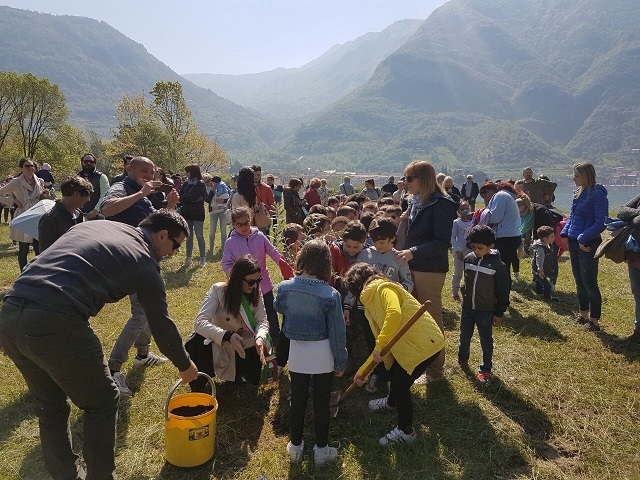 Un albero una vita a Pisogne