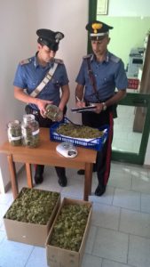 Carabinieri MArijuana