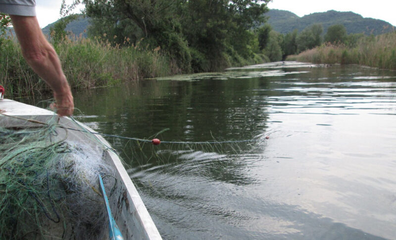 pesca frodo sebino pesca frodo sebino