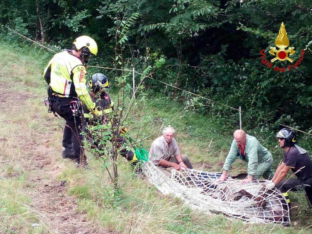 2 recupero asina con elicottero drago dei vigili del fuoco