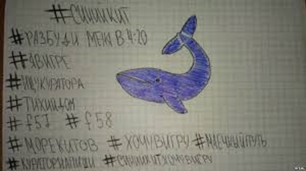 Blue Whale