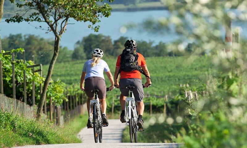bici