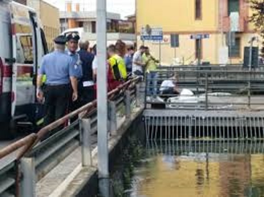 seriola paoazzolo seriola paoazzolo