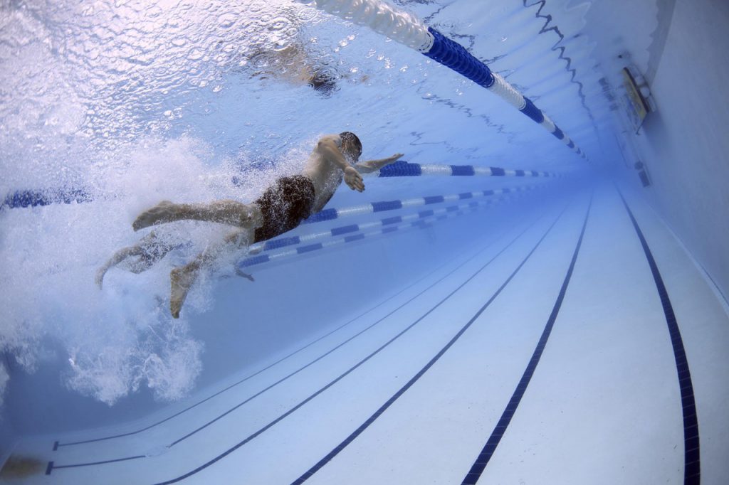 swimmers swimming race competition 56837 swimmers swimming race competition 56837