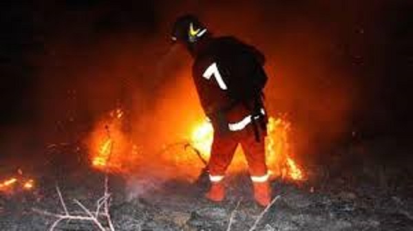 Incendioi legnaia