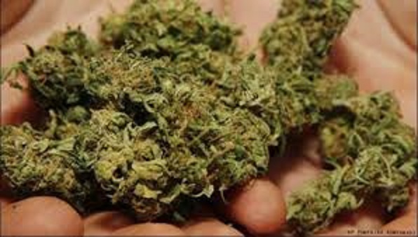 marijuana